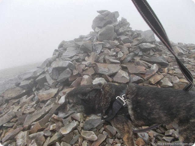 foggy summit of mynydd mawr