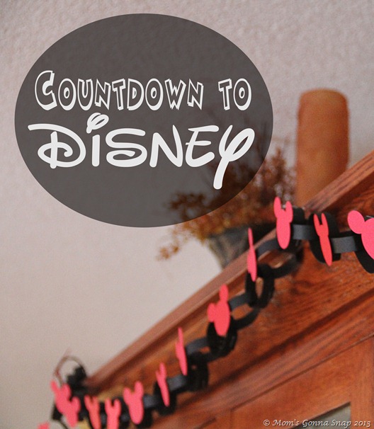 Disney Countdown by MomsGonnaSnap 