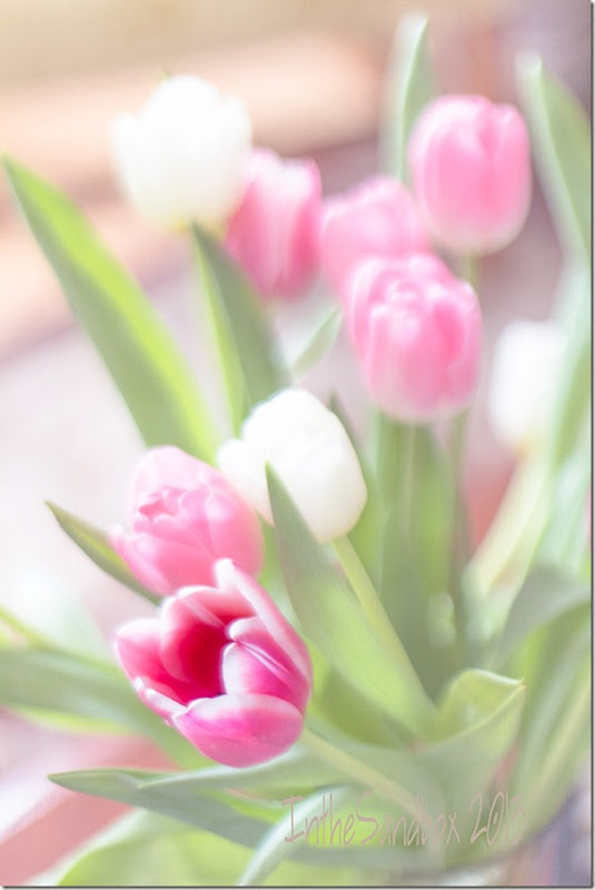 tulips-with-sybil-texture