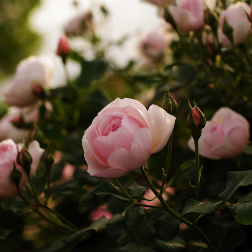 Hd-165744-ascw165744