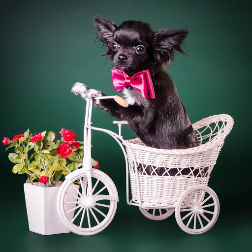 Hd-151906-ascw151906