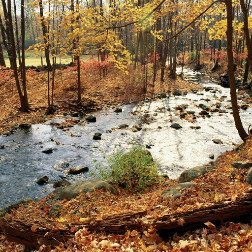 Hd-132296-ascw132296