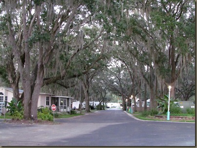 tree lined streets in older section of quail run