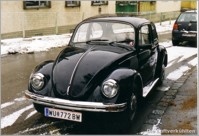 Schwarzer Käfer 2