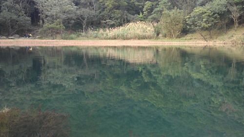 IMAG0768