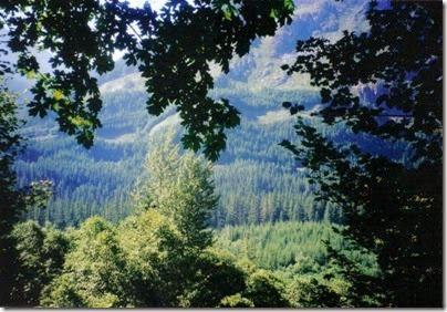 View from the Iron Goat Trail near Milepost 1718 in 2000