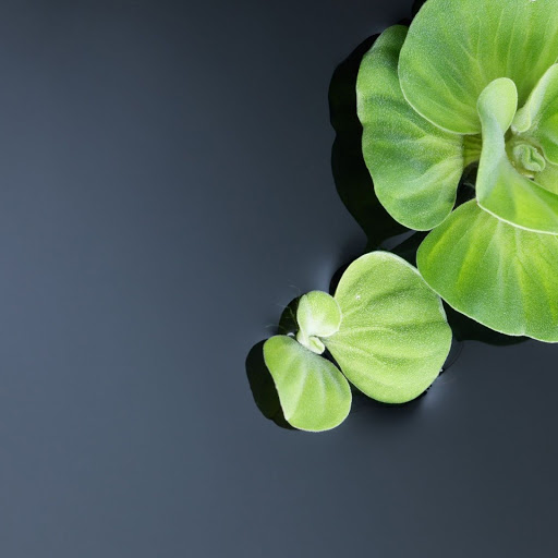 Hd-149327-ascw149327