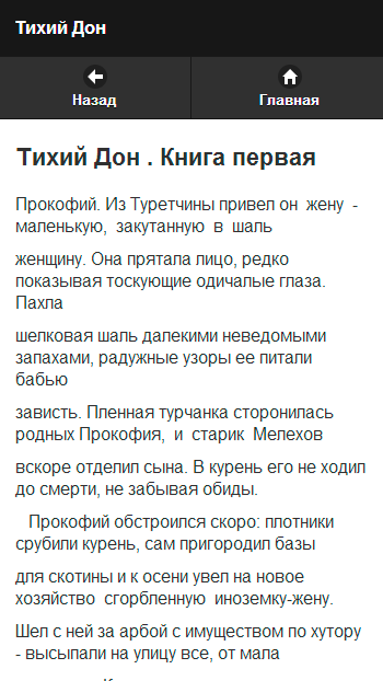 Шолохов М.А. Pro Screen 2