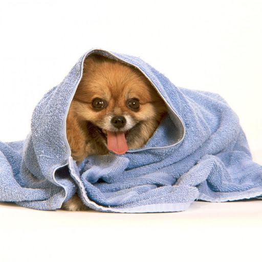 Hd-170862-ascw170862