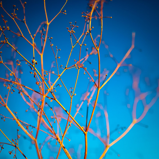 Hd-155786-ascw155786