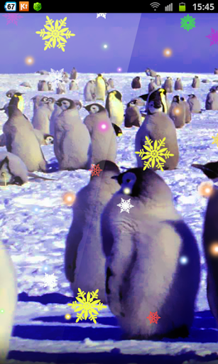 Crazy Penguins Frozen Xmas HD