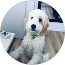 Robert Payne profile picture