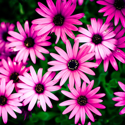 Hd-142049-ascw142049