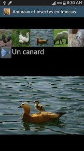 French animals names(圖5)-速報App