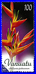 vanuatu flower 1