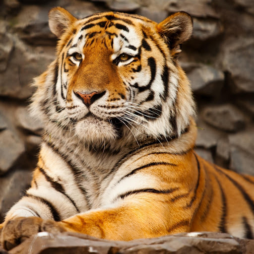 Hd-177253-ascw177253