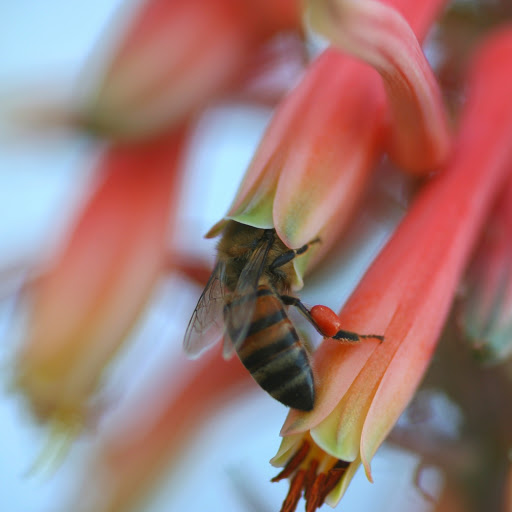 Hd-165193-ascw165193