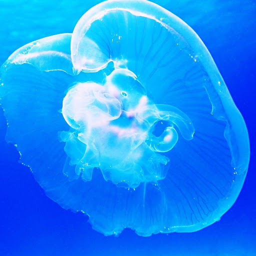 Hd-179804-ascw179804