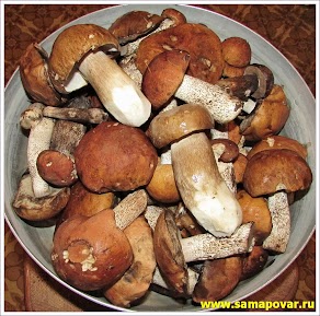 Белые грибы и подосиновики. www.samapovar.ru
