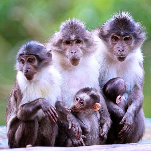 Hd-164503-ascw164503