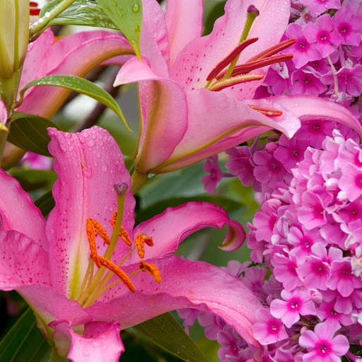 Hd-148301-ascw148301