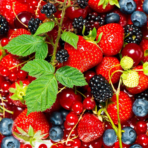 Hd-152337-ascw152337