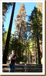 Ron in Mariposa Big Trees-Yosemite