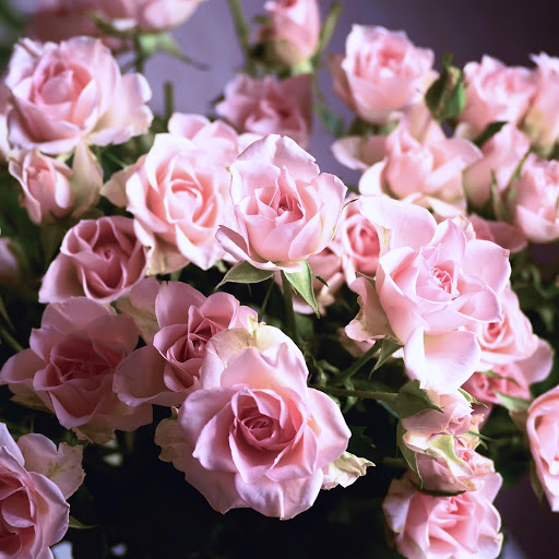 Hd-145919-ascw145919