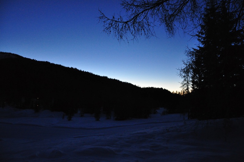 DSC_6598.JPG DSC 6598