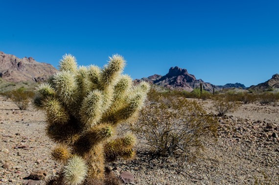 Painted Desert Trail (42 of 45)