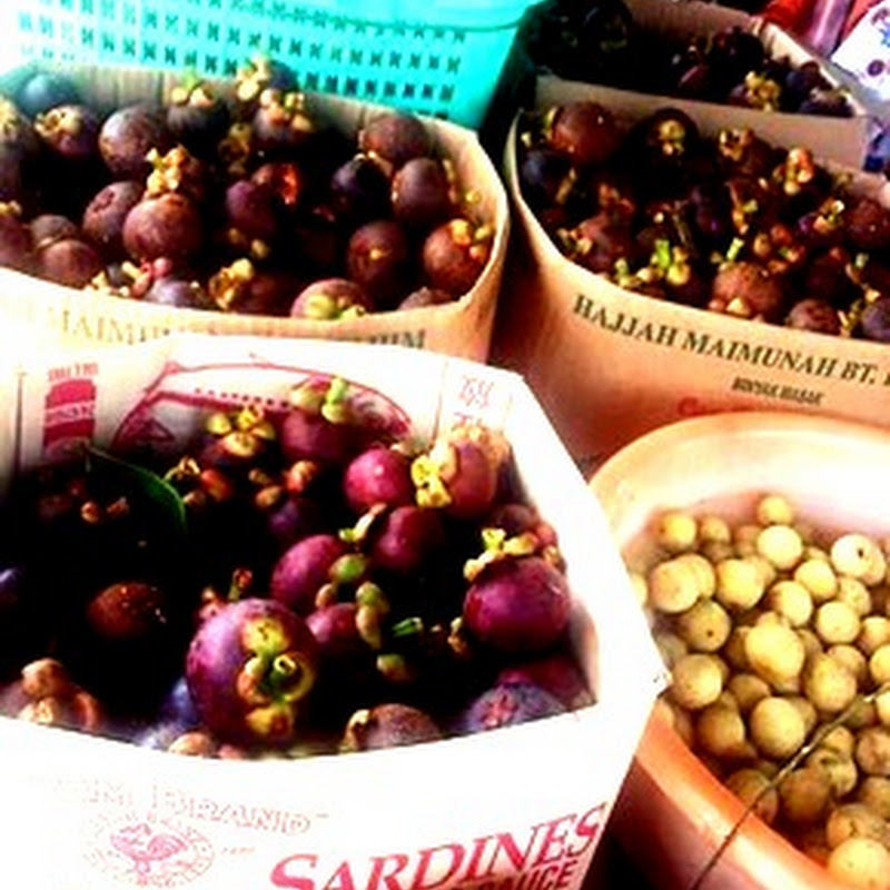 Pesta Buah-Buahan Kampung Bukit Wan