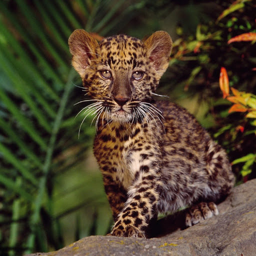 Hd-137607-ascw137607