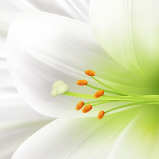 Hd-157251-ascw157251