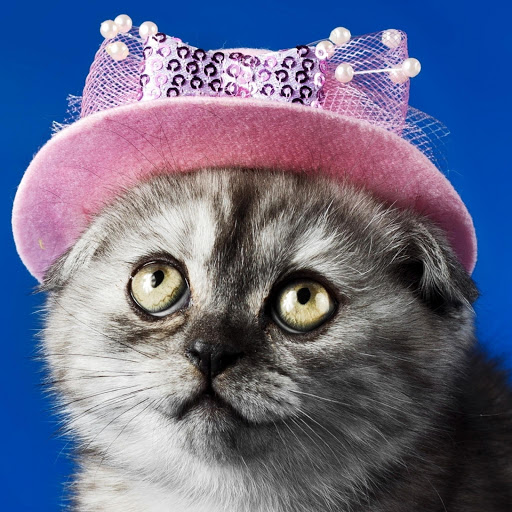 Hd-177528-ascw177528