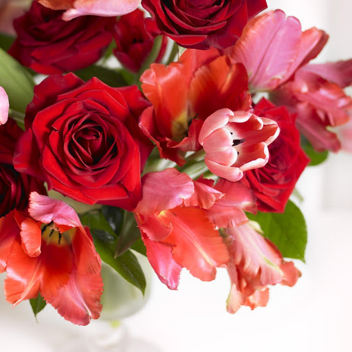 Hd-145795-ascw145795