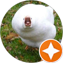 Cnut Ragnarson profile picture