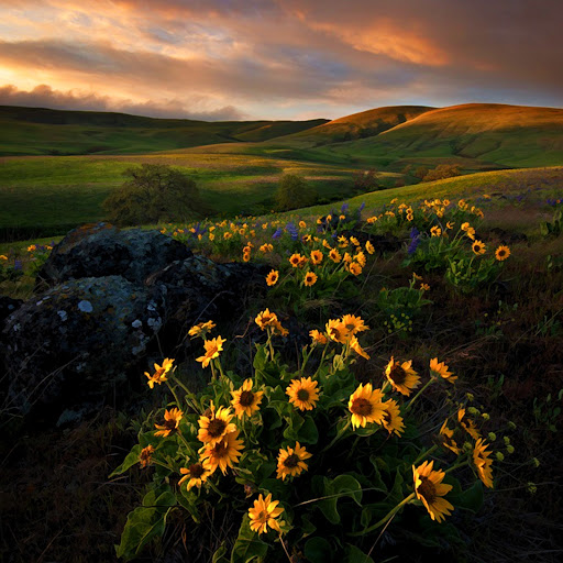 Hd-147010-ascw147010