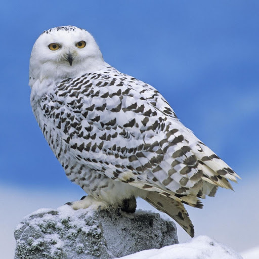 Hd-164945-ascw164945