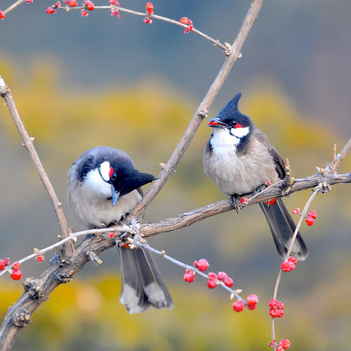 Hd-143213-ascw143213