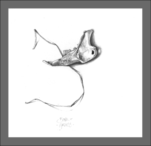 [rabbit--bg%255B4%255D.gif]