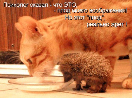 [20120804095632%255B3%255D.jpg]