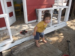 IMG_8742 IMG_8742
