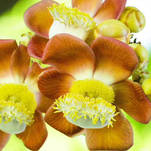 Hd-167113-ascw167113