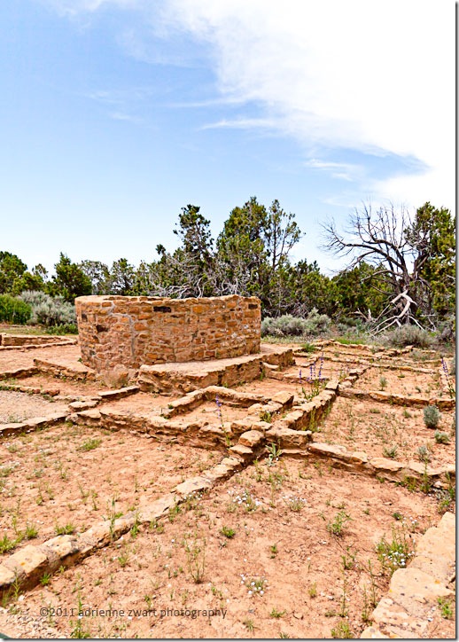 Far View Mesa Site native American ruins at Mesa Verde - photo by Adrienne Zwart