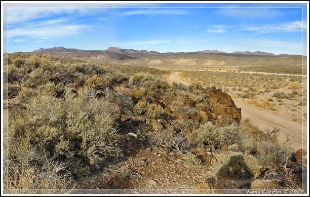 EFP-Cane Site Landscape