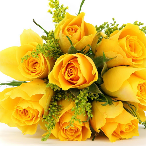 Hd-149271-ascw149271