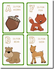 vocab cards wildlife