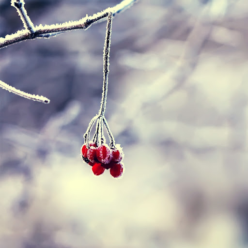 Hd-144197-ascw144197