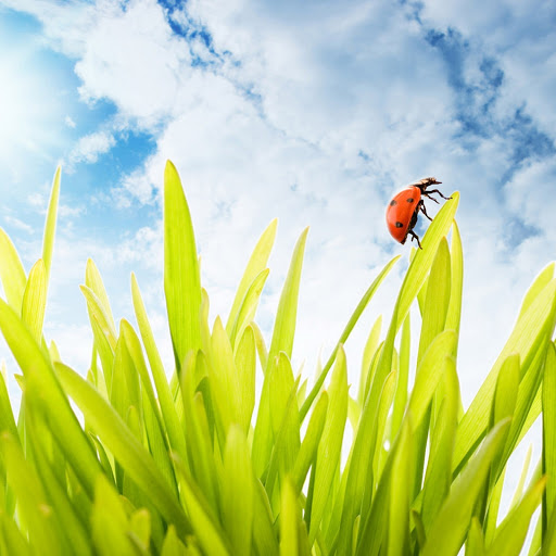 Hd-149606-ascw149606