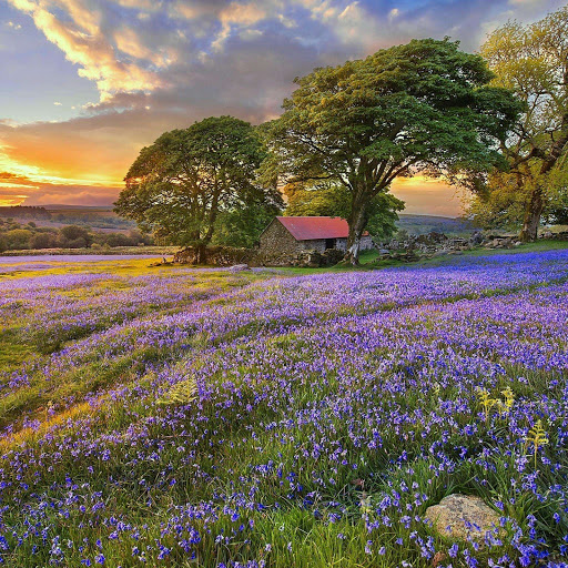 Hd-160015-ascw160015